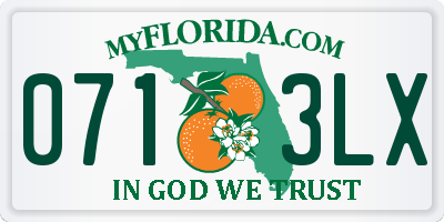 FL license plate 0713LX