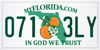 FL license plate 0713LY