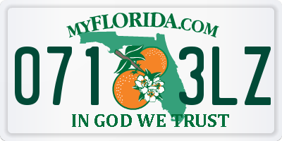 FL license plate 0713LZ