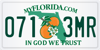 FL license plate 0713MR