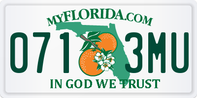 FL license plate 0713MU