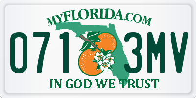 FL license plate 0713MV