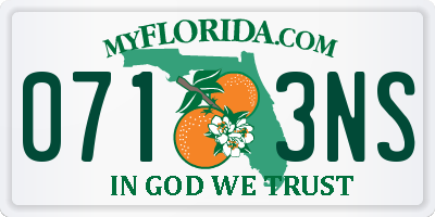 FL license plate 0713NS