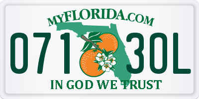 FL license plate 0713OL