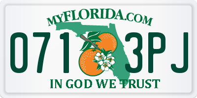 FL license plate 0713PJ