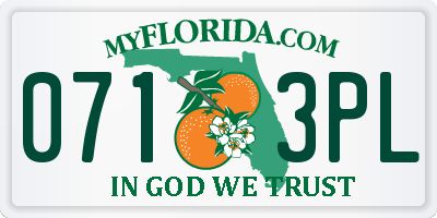FL license plate 0713PL