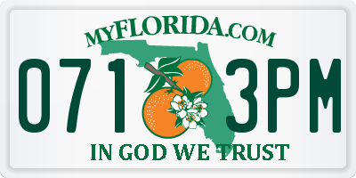 FL license plate 0713PM