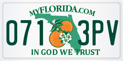 FL license plate 0713PV