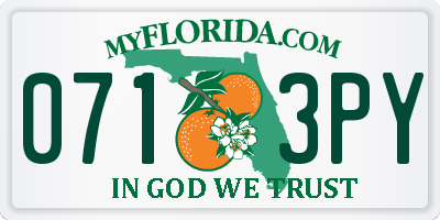 FL license plate 0713PY
