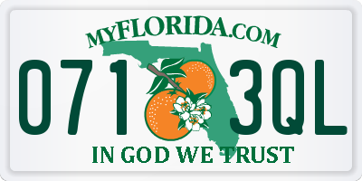 FL license plate 0713QL