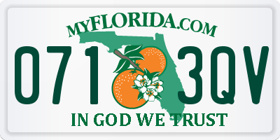 FL license plate 0713QV