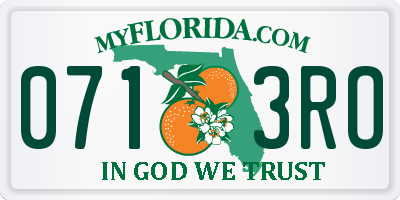 FL license plate 0713RO