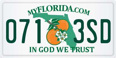 FL license plate 0713SD