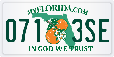 FL license plate 0713SE