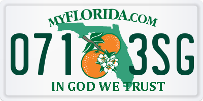 FL license plate 0713SG