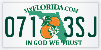 FL license plate 0713SJ