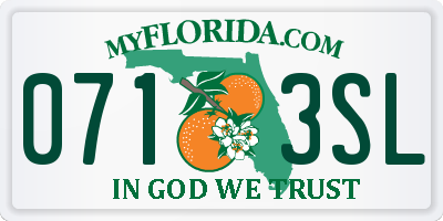 FL license plate 0713SL