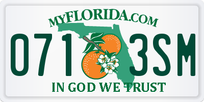 FL license plate 0713SM