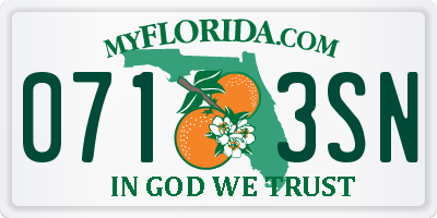 FL license plate 0713SN