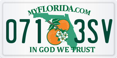 FL license plate 0713SV