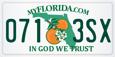 FL license plate 0713SX