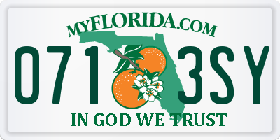 FL license plate 0713SY