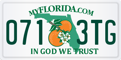 FL license plate 0713TG