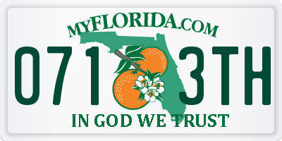 FL license plate 0713TH