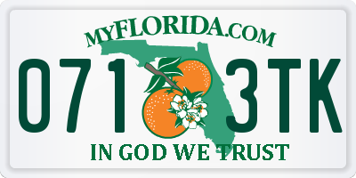 FL license plate 0713TK