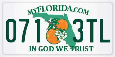 FL license plate 0713TL
