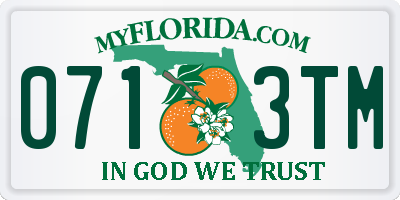 FL license plate 0713TM