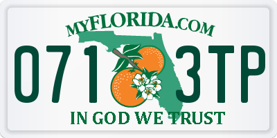 FL license plate 0713TP