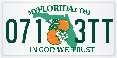 FL license plate 0713TT