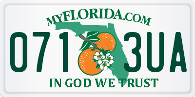 FL license plate 0713UA