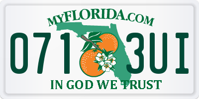 FL license plate 0713UI