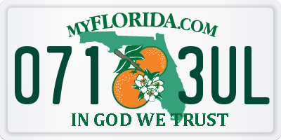 FL license plate 0713UL