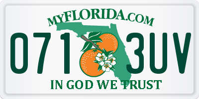 FL license plate 0713UV