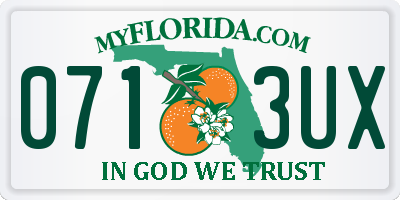 FL license plate 0713UX