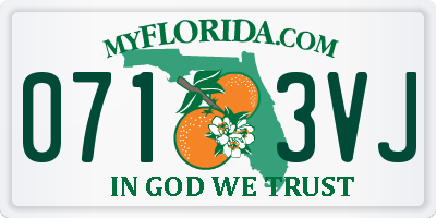 FL license plate 0713VJ