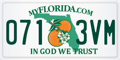 FL license plate 0713VM