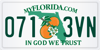 FL license plate 0713VN