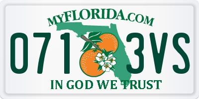 FL license plate 0713VS