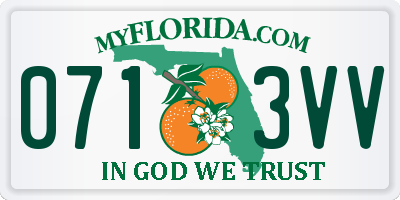 FL license plate 0713VV