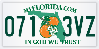 FL license plate 0713VZ