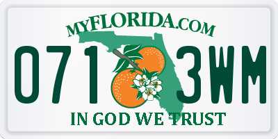 FL license plate 0713WM