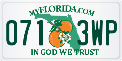 FL license plate 0713WP