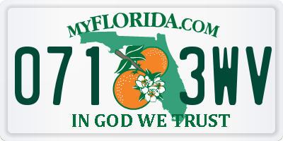 FL license plate 0713WV