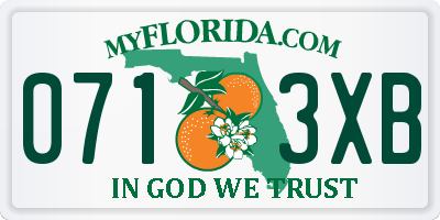 FL license plate 0713XB