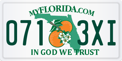 FL license plate 0713XI