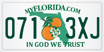 FL license plate 0713XJ